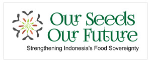 logo OsOF final